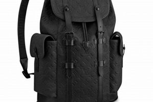 Best LV Backpack Men: Styles & More [Year] | Ultimate Backpack Traveler Guide: Tips, Destinations & Budget Hacks