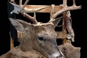 Best Backpack Deer Mount: Carry Your Trophy with Ease! | Ultimate Backpack Traveler Guide: Tips, Destinations & Budget Hacks