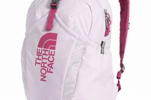 North Face Squash Backpack: Compact & Durable [Review] | Ultimate Backpack Traveler Guide: Tips, Destinations & Budget Hacks