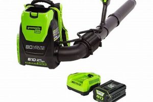 Best Electric Backpack Blowers: Power &amp; Portability! | Ultimate Backpack Traveler Guide: Tips, Destinations & Budget Hacks