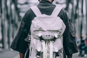 Best Streetwear Backpacks for Urban Adventures: Style &amp; Function | Ultimate Backpack Traveler Guide: Tips, Destinations & Budget Hacks