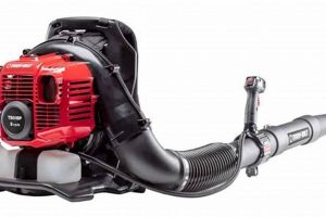 Best Troy Bilt Backpack Leaf Blower: Reviews & Deals Ultimate Backpack Traveler Guide: Tips, Destinations & Budget Hacks Best Troy Bilt Backpack Leaf Blower: Reviews & Deals | Ultimate Backpack Traveler Guide: Tips, Destinations & Budget Hacks