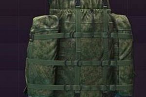 Top Tarkov Backpacks: Your Looting Guide & Tips Ultimate Backpack Traveler Guide: Tips, Destinations & Budget Hacks Top Tarkov Backpacks: Your Looting Guide & Tips | Ultimate Backpack Traveler Guide: Tips, Destinations & Budget Hacks