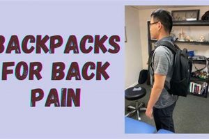 Top-Rated Best Backpacks for Back Pain Relief & Support | Ultimate Backpack Traveler Guide: Tips, Destinations & Budget Hacks