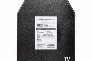 Best Backpack Bulletproof Insert For Safe Travels: [Year] Guide | Ultimate Backpack Traveler Guide: Tips, Destinations & Budget Hacks