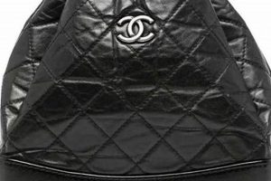 Ultimate Guide: Chanel Gabrielle Backpack for Backpackers | Ultimate Backpack Traveler Guide: Tips, Destinations & Budget Hacks