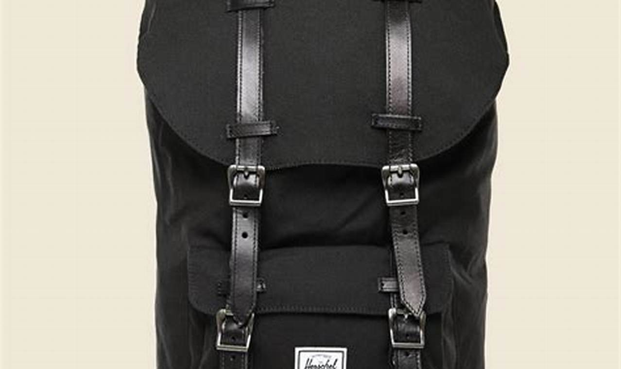 Top Little America Black Backpack: Style &amp; Utility | Ultimate Backpack Traveler Guide: Tips, Destinations & Budget Hacks