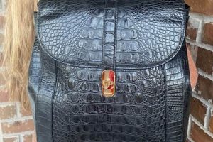 Brahmin Backpack: Stylish & Durable Backpacks for You | Ultimate Backpack Traveler Guide: Tips, Destinations & Budget Hacks