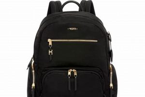 Review: Tumi Voyageur Carson Backpack - Perfect Pack for Backpackers? | Ultimate Backpack Traveler Guide: Tips, Destinations & Budget Hacks