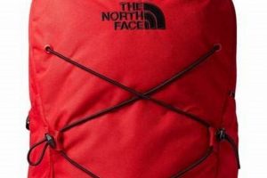 Best Red North Face Backpack [Deals!] | Ultimate Backpack Traveler Guide: Tips, Destinations & Budget Hacks