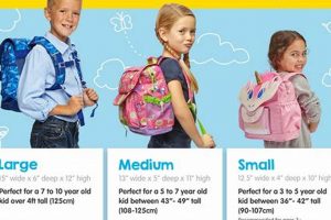 Backpack Basics: What is Standard Size Backpack for Travel? | Ultimate Backpack Traveler Guide: Tips, Destinations & Budget Hacks