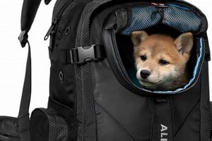Backpack Dog: The Ultimate Guide to Dogs in Backpacks | Ultimate Backpack Traveler Guide: Tips, Destinations & Budget Hacks