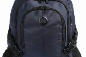 Best Delsey Paris Backpack [For Travel & Work] | Ultimate Backpack Traveler Guide: Tips, Destinations & Budget Hacks