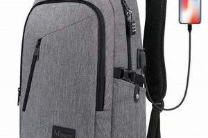 The Ultimate Backpack Laptop Backpack Guide for Professionals | Ultimate Backpack Traveler Guide: Tips, Destinations & Budget Hacks