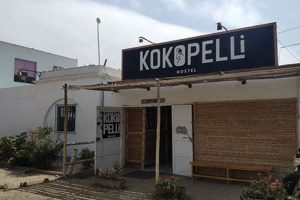 Kokopelli Backpackers Hostel: Your Ultimate Travel Saver | Ultimate Backpack Traveler Guide: Tips, Destinations & Budget Hacks