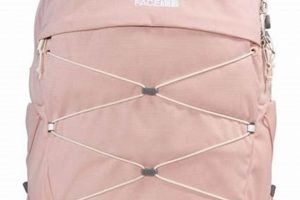 Shop: Pink North Face Borealis Backpack - Deals! | Ultimate Backpack Traveler Guide: Tips, Destinations & Budget Hacks