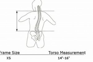 Backpacker's Guide: How to Measure Torso for Backpack Fit | Ultimate Backpack Traveler Guide: Tips, Destinations & Budget Hacks