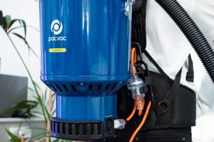 Pro Backpack Yard Vacuum: Clear Leaves Fast! | Ultimate Backpack Traveler Guide: Tips, Destinations & Budget Hacks