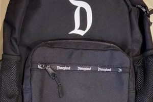 Best Disneyland Black Backpack + Tips & Guide | Ultimate Backpack Traveler Guide: Tips, Destinations & Budget Hacks
