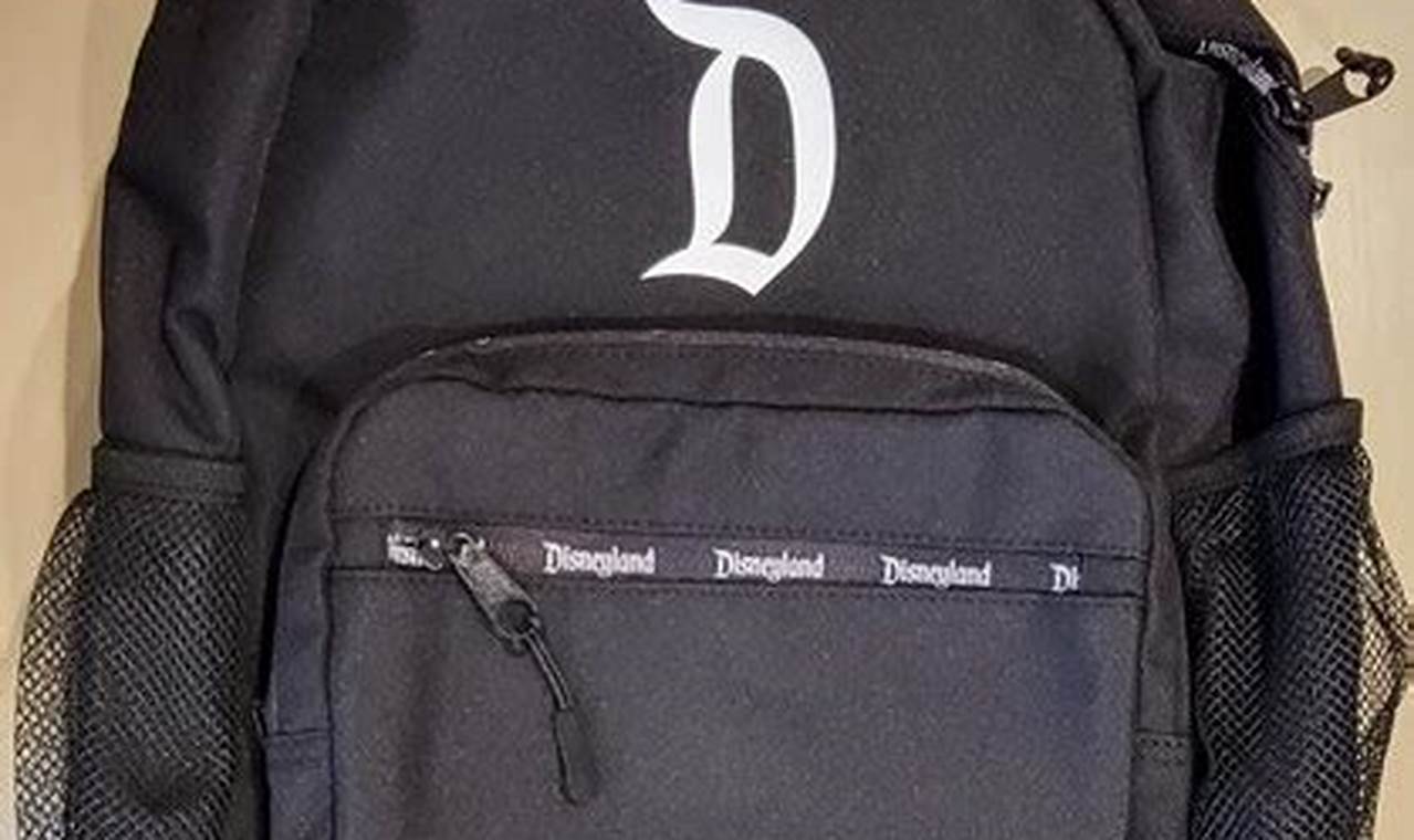 Best Disneyland Black Backpack + Tips & Guide | Ultimate Backpack Traveler Guide: Tips, Destinations & Budget Hacks