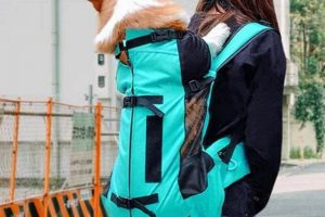 Corgi Backpacks: Cute Carriers for Adventurers! | Ultimate Backpack Traveler Guide: Tips, Destinations & Budget Hacks