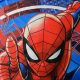 Coolest Spider Man Backpacks! For Little Web-Slingers | Ultimate Backpack Traveler Guide: Tips, Destinations & Budget Hacks