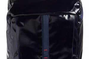 Protect Gear: Patagonia Water Resistant Backpacks for Backpackers | Ultimate Backpack Traveler Guide: Tips, Destinations & Budget Hacks