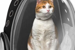 Adventure-Ready Backpack Cat Bubble: Take Your Cat Anywhere! | Ultimate Backpack Traveler Guide: Tips, Destinations & Budget Hacks