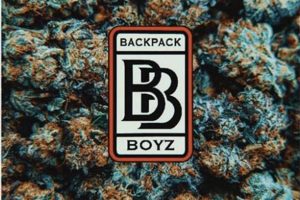 Unlocking Backpack Boyz Strains: A Potent Guide | Ultimate Backpack Traveler Guide: Tips, Destinations & Budget Hacks