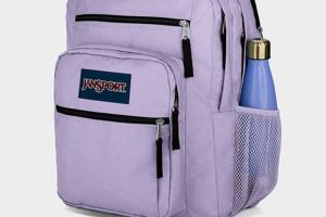Stylish Light Purple Jansport Backpack: Find Yours! | Ultimate Backpack Traveler Guide: Tips, Destinations & Budget Hacks