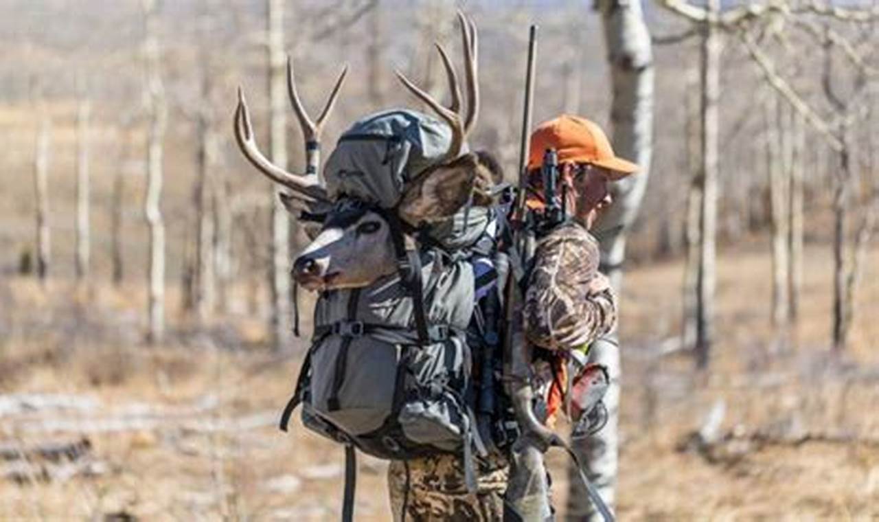 Top Rated: Best Elk Hunting Backpack [Gear Guide] | Ultimate Backpack Traveler Guide: Tips, Destinations & Budget Hacks