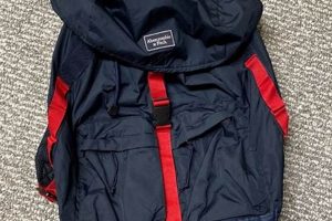 A&F Backpacks: Stylish & Durable for the Modern Backpacker | Ultimate Backpack Traveler Guide: Tips, Destinations & Budget Hacks