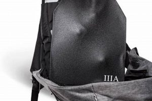 Best Bulletproof Backpack Inserts: Ultimate Protection | Ultimate Backpack Traveler Guide: Tips, Destinations & Budget Hacks