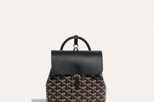 The Mini Goyard Alpin Backpack: Style & Function Ultimate Backpack Traveler Guide: Tips, Destinations & Budget Hacks The Mini Goyard Alpin Backpack: Style & Function | Ultimate Backpack Traveler Guide: Tips, Destinations & Budget Hacks