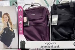 Find Baggalini Backpack Deals at Costco: Organizer's Secret | Ultimate Backpack Traveler Guide: Tips, Destinations & Budget Hacks
