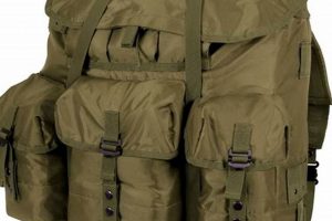 Best Large ALICE Backpacks: A Gear Guide for Backpackers | Ultimate Backpack Traveler Guide: Tips, Destinations & Budget Hacks