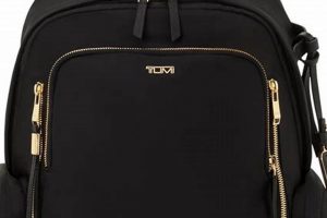 Stylish Black Backpack with Gold Accents for You! | Ultimate Backpack Traveler Guide: Tips, Destinations & Budget Hacks