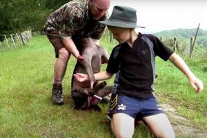 The Ultimate Deer Hunting Backpack: Gear Up & Pack Out! | Ultimate Backpack Traveler Guide: Tips, Destinations & Budget Hacks