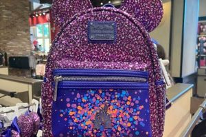 Top Picks: Best Backpack for Disneyland Adventures 2024 | Ultimate Backpack Traveler Guide: Tips, Destinations & Budget Hacks