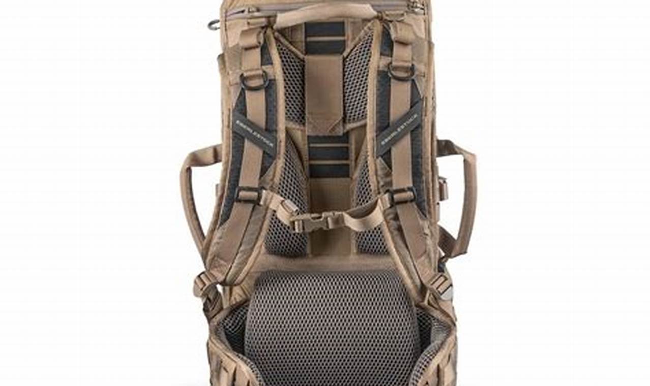 Best Backpack Eberlestock: Gear Up, Pack Smart! | Ultimate Backpack Traveler Guide: Tips, Destinations & Budget Hacks