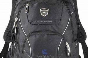 Best Corporate Backpacks: Stylish Business Bags | Ultimate Backpack Traveler Guide: Tips, Destinations & Budget Hacks