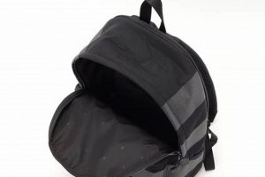 Stylish Black & Grey Backpack: Everyday Carry & More! | Ultimate Backpack Traveler Guide: Tips, Destinations & Budget Hacks