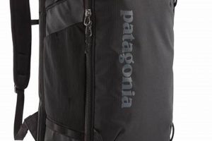 Review: Patagonia Black Hole 30L Backpack Is It Worth It? | Ultimate Backpack Traveler Guide: Tips, Destinations & Budget Hacks