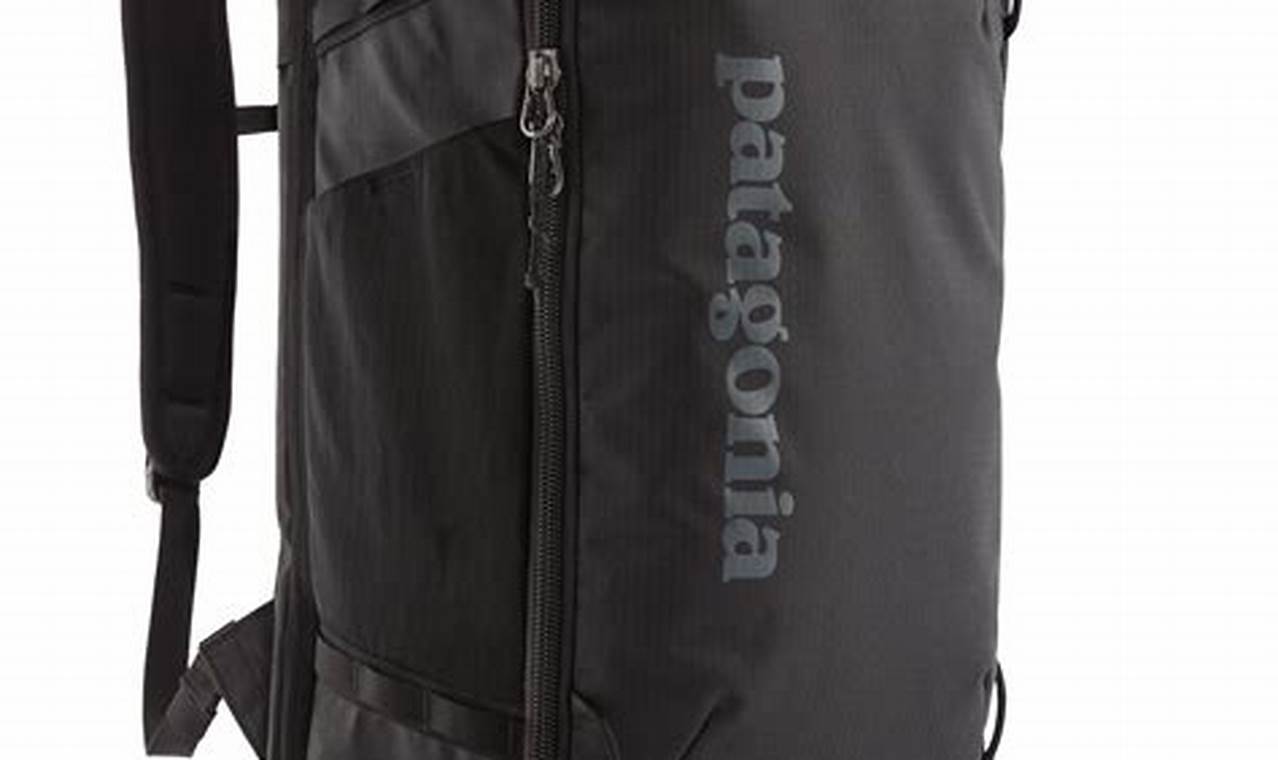 Review: Patagonia Black Hole 30L Backpack Is It Worth It? | Ultimate Backpack Traveler Guide: Tips, Destinations & Budget Hacks