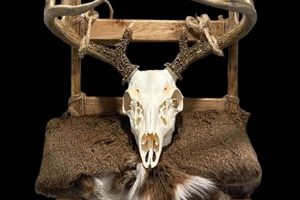 Gear Up: Backpack Mount Deer Carrier - Haul with Ease! Ultimate Backpack Traveler Guide: Tips, Destinations & Budget Hacks Gear Up: Backpack Mount Deer Carrier - Haul with Ease! | Ultimate Backpack Traveler Guide: Tips, Destinations & Budget Hacks