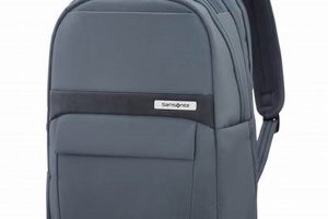 Best Samsonite Backpacks: Your Ultimate Gear Guide | Ultimate Backpack Traveler Guide: Tips, Destinations & Budget Hacks
