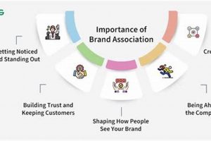 Shop Victoria Secret Backpacks: Stylish & Functional! | Ultimate Backpack Traveler Guide: Tips, Destinations & Budget Hacks