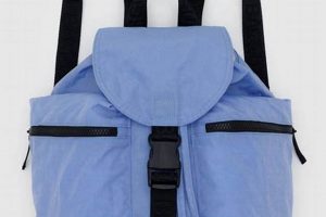 Baggu Sport Backpack: The Backpacker's Lightest Load! | Ultimate Backpack Traveler Guide: Tips, Destinations & Budget Hacks