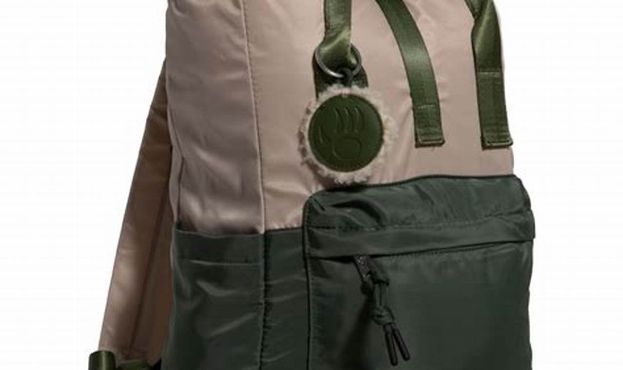 Top Bearpaw Backpacks: Your Backpacker's Best Friend | Ultimate Backpack Traveler Guide: Tips, Destinations & Budget Hacks