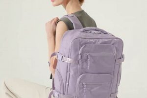 Find Great Deals on A Calpak Terra Backpack (Used) for Backpackers | Ultimate Backpack Traveler Guide: Tips, Destinations & Budget Hacks